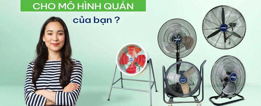 baner_hasaki_3